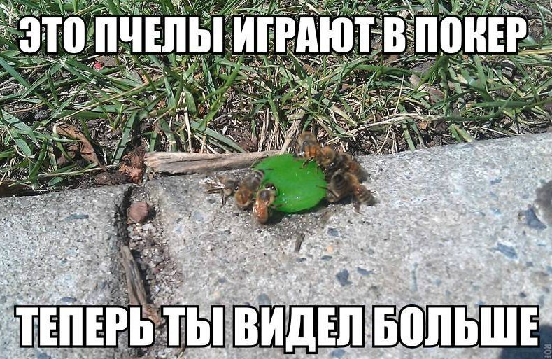   | , ,  - 6  2014  09:01