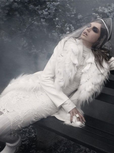 ,      ,   -   ,   ...