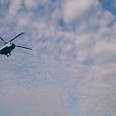 ���� ��������, �����-���������, 65 ��� - ��������� 21 �������� 2014 � ������ �������� ������