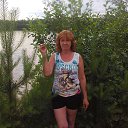 ���� �������� ����� �����, �����-��������� - ��������� 3 ������� 2014 � ������ ���� ����������