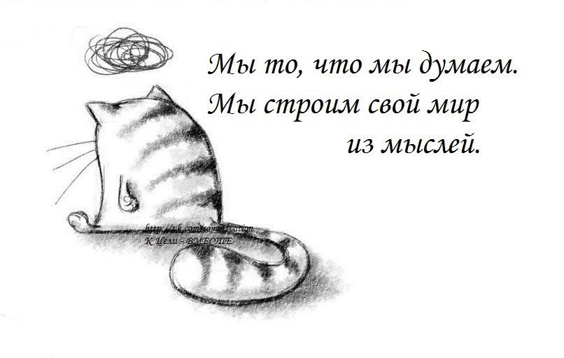 Co-Motivation.... . - 26  2014  11:35