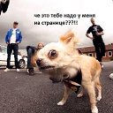 ���� ����, ��������, 49 ��� - ��������� 5 ������� 2014 � ������ ������ ��������
