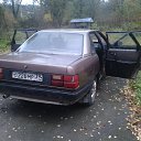 ���� ��������, ����������, 38 ��� - ��������� 29 ������� 2014 � ������ ������ ��������