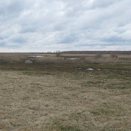 ���� ������, �����������, 51 ��� - ��������� 5 ������ 2014