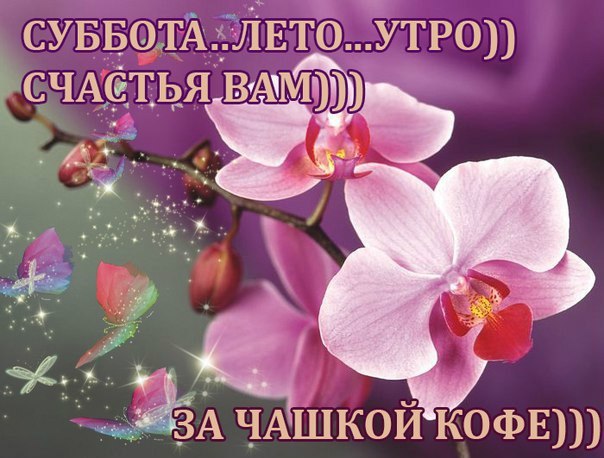  - 23  2014  10:01