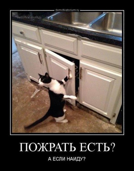 �������������� �� ���: fotostrana.ru/mix-humor