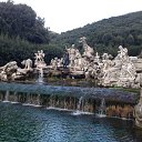 ���� ���������, ����, 53 ���� - ��������� 7 ������� 2014 � ������ ��������