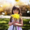 ���� �����, ���� - ��������� 26 ������� 2014 � ������ ������ ��������