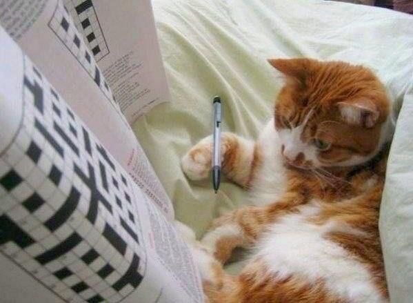 - Таааак... по вертикали: