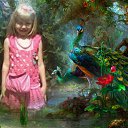 ���� ������, ������, 61 ��� - ��������� 29 ������� 2014 � ������ ���� ����������