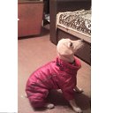 ���� �������, ������������ - ��������� 24 �������� 2014 � ������ ���� ����������