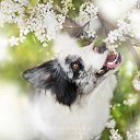 ���� ����, ���������, 67 ��� - ��������� 7 ������� 2014 � ������ ���� ����������