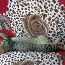 ���� ������ �������, ��������, 47 ��� - ��������� 22 �������� 2014 � ������ ���� ������