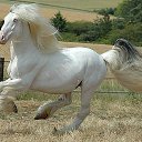 ���� �����, ��������� - ��������� 16 ������� 2014 � ������ ���� ����������