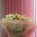 ���� ����, ���������, 33 ���� - ��������� 27 ������� 2014 � ������ ������ ��������