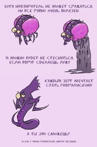  Starcraft`a  - 5
