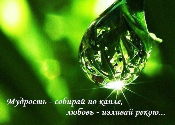  - 12  2014  23:21