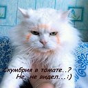  N..., , 47  -  8  2014       )))