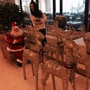 ���� ����, ���, 65 ��� - ��������� 3 ������� 2014 � ������ ���������� ������� ����� � �����