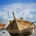 ���� ����, ������� - ��������� 22 ������� 2014 � ������ ��������