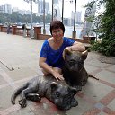 ���� �����, ����������-��-�����, 54 ���� - ��������� 4 ������� 2014