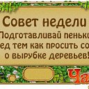 ���� ������ �-180��, ���������, 44 ���� - ��������� 20 ������ 2014 � ������ ��������