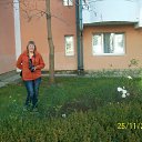 ���� �������, ��������������� - ��������� 23 ������ 2014 � ������ ��������--- 2013�