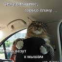���� �������, ���������, 63 ���� - ��������� 9 �������� 2014 � ������ ������ ��������