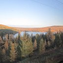 ���� �������, �������, 41 ��� - ��������� 1 ������� 2014 � ������ ���� ����������