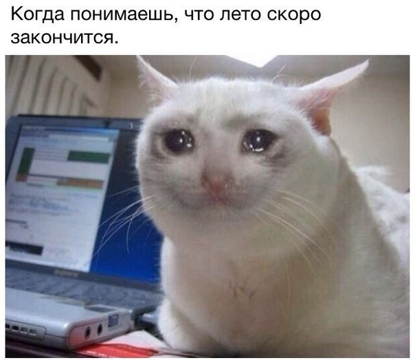 - 26  2014  04:06