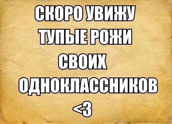  - 29  2014  13:09