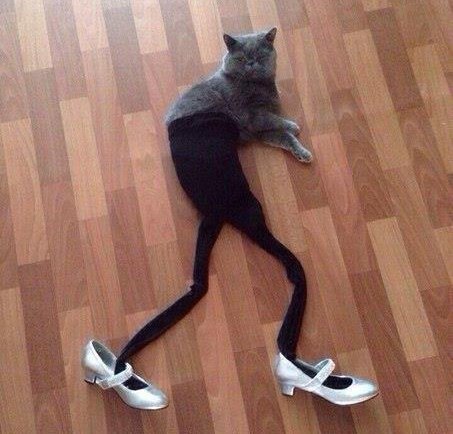 , ,  . !