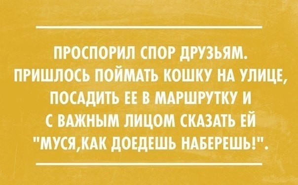   - 19  2014  21:06