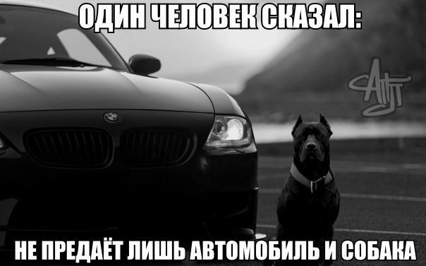 BMW | Mercedes | AUDI - 18  2014  19:44