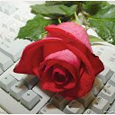 ���� &hearts; ������� &hearts;, ������ - ��������� 14 ������� 2014 � ������ ������ ��������
