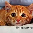 ���� �����������, ������, 65 ��� - ��������� 13 ������� 2014 � ������ ������ ��������