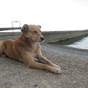 ���� ������, �����-���������, 60 ��� - ��������� 14 ������ 2014 � ������ ���� ����������