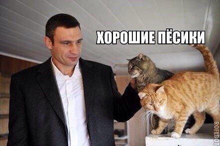 �������� - 13 ������� 2014 � 01:59