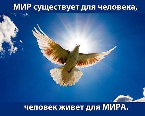 ������ - 22 �������� 2014 � 23:00