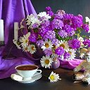 ���� �����, ��������� - ��������� 19 ������� 2014 � ������ ��� �� �����