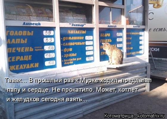 Marina - 27  2014  09:17