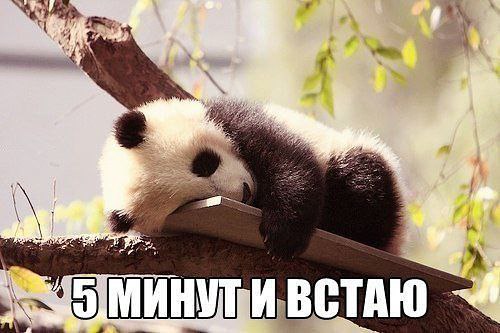     <a href=