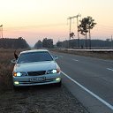 ���� ������, ������-���������, 44 ���� - ��������� 12 ������� 2014 � ������ ���� ����������