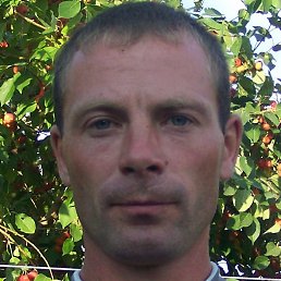 ������, ����, 42 ����