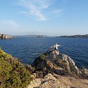 ���� ������, ������� ��������, 58 ��� - ��������� 5 ������� 2014 � ������ ���� ����������