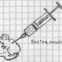 ���� ������� ���������, ������ - ��������� 23 ������� 2014 � ������ ������ ��������