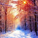 ���� Ivan, ��������� - ��������� 8 ������� 2014 � ������ ���� ����������