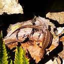 ���� �����, �����, 55 ��� - ��������� 27 ������� 2014 � ������ ���� ����������