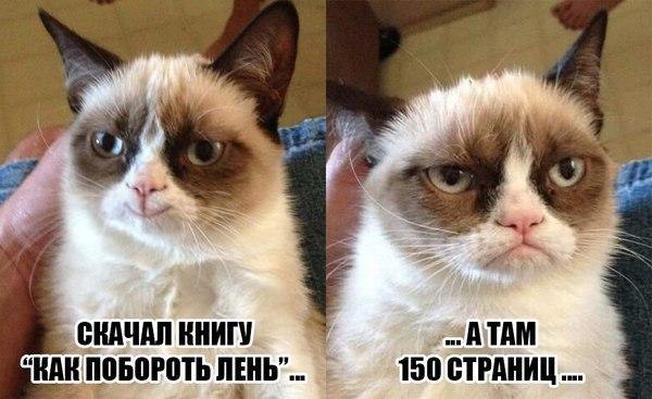    :D - 15  2014  22:46