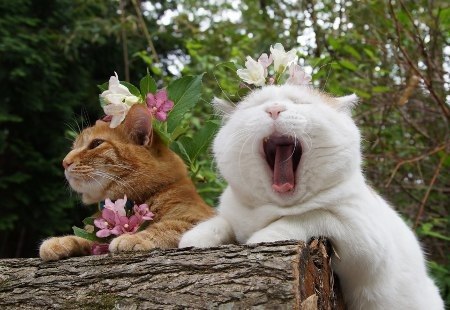 tumblr - 7 ������� 2014 � 23:43